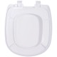 ASSENTO SANITÁRIO SABATINI EVOLUTION SOFT CLOSE BR00 COR BRANCO TUPAN