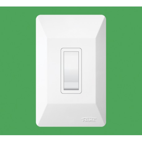INTERRUPTOR SIMPLES COM PLACA 10A/250V SISTEMA EXTERNO FAME
